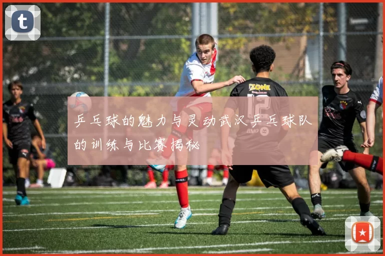 乒乓球的魅力与灵动武汉乒乓球队的训练与比赛揭秘
