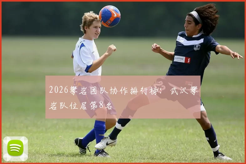 2026攀岩团队协作排行榜：武汉攀岩队位居第8名