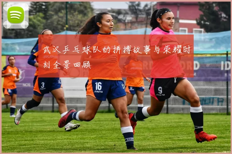 武汉乒乓球队的拼搏故事与荣耀时刻全景回顾