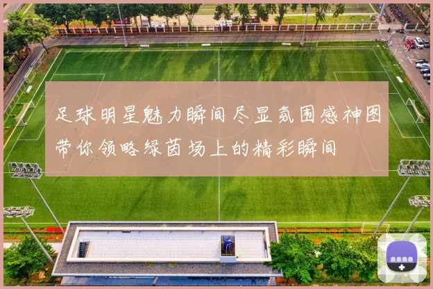 足球明星魅力瞬间尽显氛围感神图带你领略绿茵场上的精彩瞬间